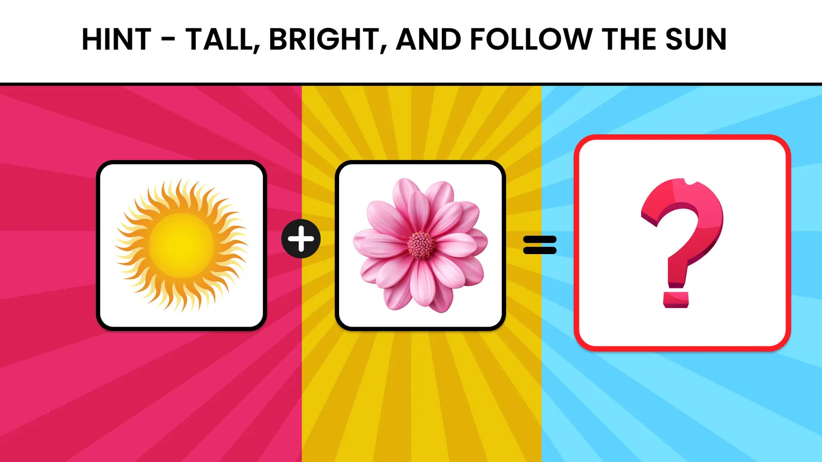 A puzzle showing a sun plus a flower equals a question mark